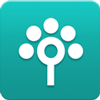 Songtree icon